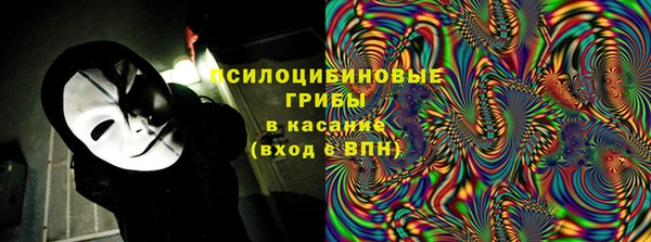 ПСИЛОЦИБИНОВЫЕ ГРИБЫ Бронницы