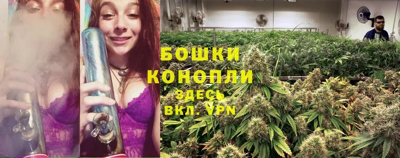 Бошки Шишки Bruce Banner  Воркута 